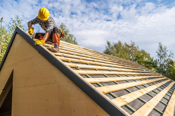 Best Roof Gutter Cleaning  in Selmer, TN